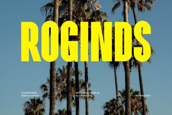 Roginds Typeface: Bold Condensed Branding